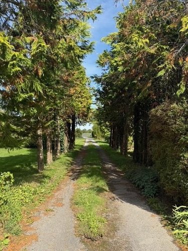 Maison a vendre Saint-Léger-de-Linières 49170 Maine-et-Loire 143 m2 7 pièces 241040 euros