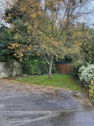 Maison a vendre Loudéac 22600 Côtes-d'Armor 90 m2 4 pièces 198740 euros