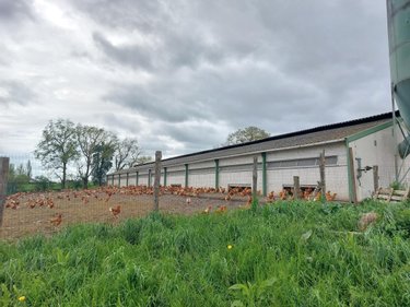 Bien agricole a vendre Montjean 53320 Mayenne 9397 m2  106000 euros