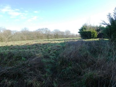 Terrain a batir a vendre Locmalo 56160 Morbihan 799 m2  31980 euros