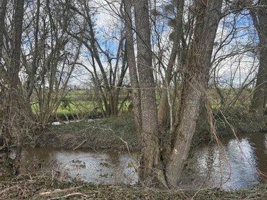 Terrains de loisirs bois etangs a vendre Cuves 50670 Manche 4900 m2  5300 euros