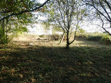 Terrain a batir a vendre Saint-Caradec-Trégomel 56540 Morbihan 1030 m2  12790 euros