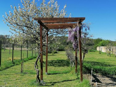 Maison a vendre Buxeuil 37160 Vienne 200 m2 11 pièces 220500 euros