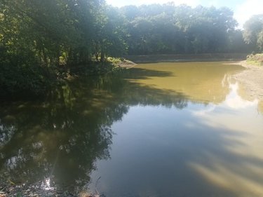 Terrains de loisirs bois etangs a vendre Plumaudan 22350 Côtes-d'Armor 5908 m2  39700 euros