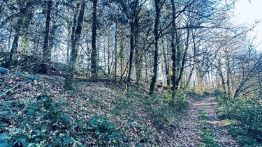 Terrains de loisirs bois etangs a vendre Guilligomarc'h 29300 Finistère 104819 m2  53600 euros