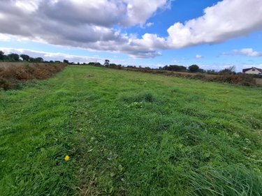 Terrain a batir a vendre Digosville 50110 Manche 1319 m2  53000 euros