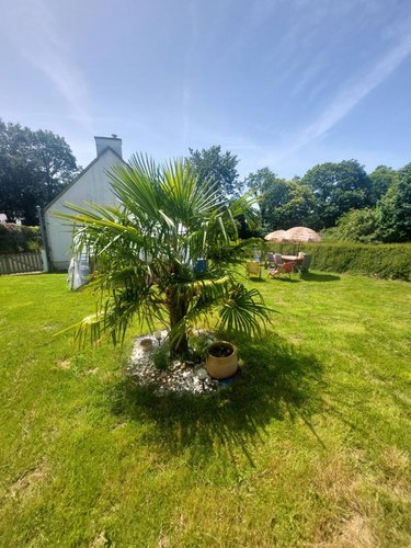 Maison a vendre Kergloff 29270 Finistère 100 m2 3 pièces 168800 euros
