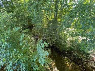 Maison a vendre Druillat 01160 Ain 197 m2 7 pièces 345000 euros