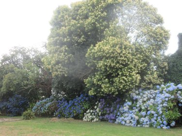 Maison a vendre Remungol 56500 Morbihan 143 m2 7 pièces 260440 euros