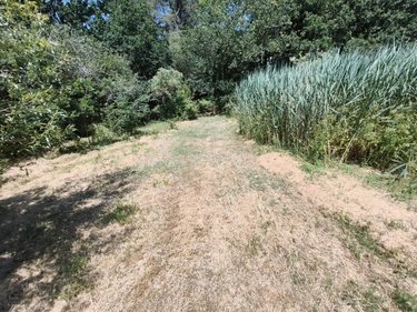 Terrains de loisirs bois etangs a vendre Nivillac 56130 Morbihan 5500 m2  106500 euros