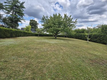 Terrain a batir a vendre Chaumousey 88390 Vosges 1270 m2  183000 euros