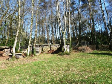 Maison a vendre Lignol 56160 Morbihan 55 m2 3 pièces 53300 euros