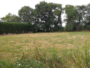 Terrain a batir a vendre Saint-Avé 56890 Morbihan 783 m2  328000 euros