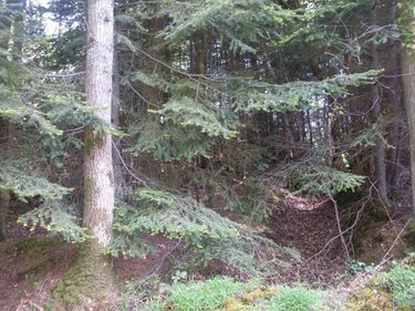 Terrains de loisirs bois etangs a vendre La Folletière-Abenon 14290 Calvados 3994 m2  6500 euros