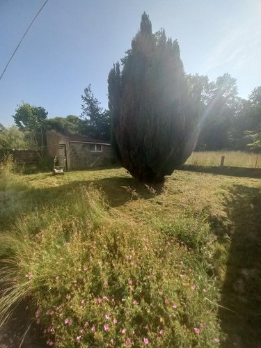 Maison a vendre Bubry 56310 Morbihan 87 m2 4 pièces 110985 euros