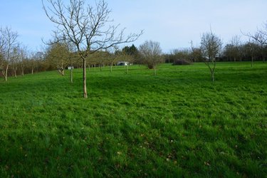 Terrains de loisirs bois etangs a vendre Grez-en-Bouère 53290 Mayenne 9026 m2  37450 euros