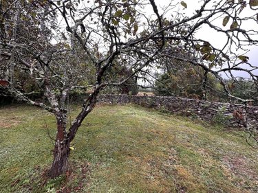 Maison a vendre Theix-Noyalo 56450 Morbihan 112 m2 6 pièces 394143 euros