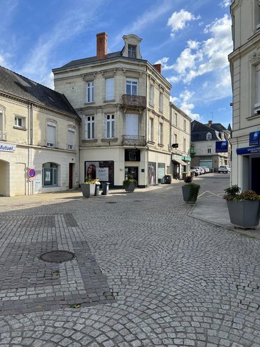 Immeuble a vendre Longué-Jumelles 49160 Maine-et-Loire 250 m2  318000 euros