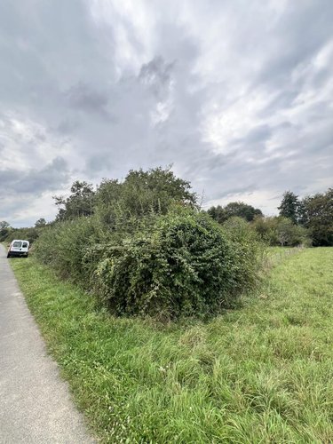 Terrains de loisirs bois etangs a vendre Lunay 41360 Loir-et-Cher 2855 m2  11800 euros