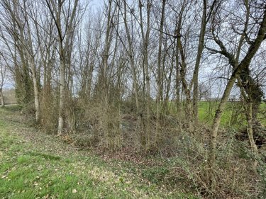 Terrains de loisirs bois etangs a vendre Le Mans 72000 Sarthe 1280 m2  11800 euros
