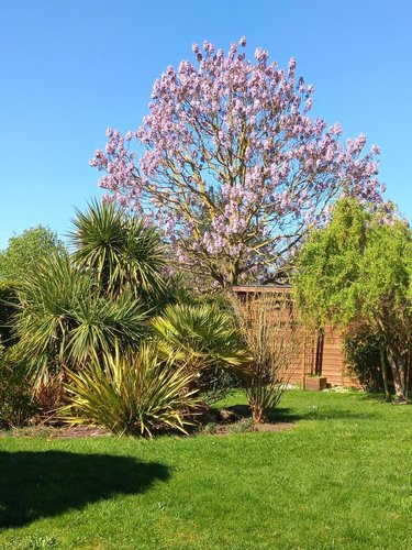 Maison a vendre Saint-Père 89450 Yonne 124 m2 5 pièces 461760 euros