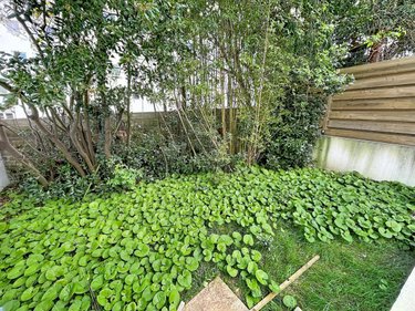 Appartement a vendre Lorient 56100 Morbihan 33 m2 2 pièces 167200 euros