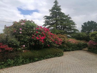 Maison a vendre Plouzévédé 29440 Finistère 200 m2 8 pièces 270920 euros