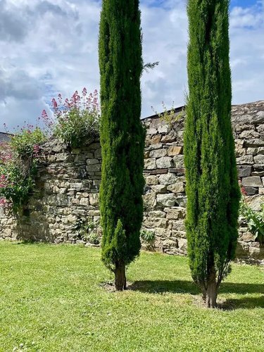 Maison a vendre Dol-de-Bretagne 35120 Ille-et-Vilaine 435 m2 10 pièces 1662400 euros