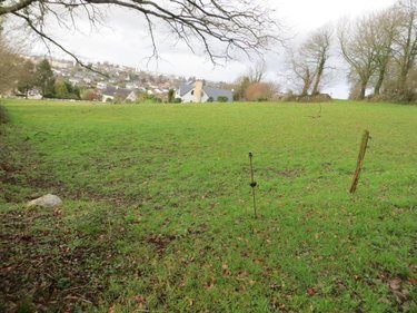 Terrain a batir a vendre Roullours 14500 Calvados 1100 m2  36000 euros