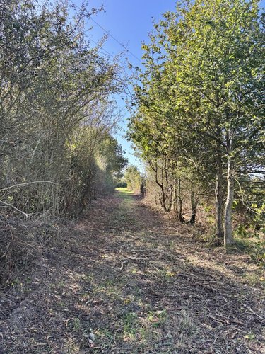 Maison a vendre Villemoisan 49370 Maine-et-Loire 150 m2 5 pièces 296610 euros