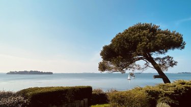 Maison a vendre Saint-Armel 56450 Morbihan 72 m2 3 pièces 880000 euros