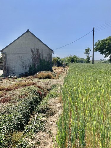 Maison a vendre Plestan 22640 Côtes-d'Armor 175 m2  87980 euros