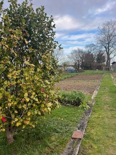 Maison a vendre Sarzeau 56370 Morbihan 115 m2 4 pièces 453200 euros