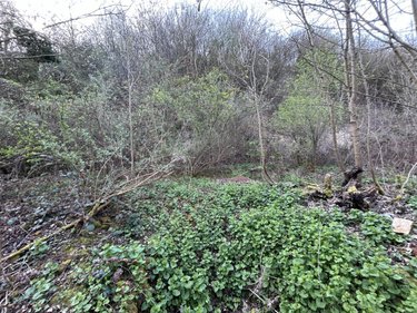 Divers a vendre Corbie 80800 Somme 7990 m2  17000 euros