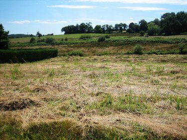 Terrain a batir a vendre Ploërdut 56160 Morbihan 2850 m2  24518 euros