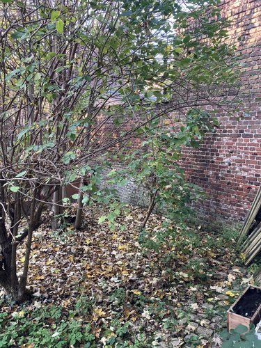 Location fonds et murs commerciaux Lille 59000 Nord 600 m2  3250 euros