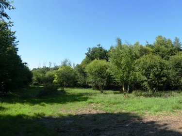 Terrains de loisirs bois etangs a vendre Cléguérec 56480 Morbihan 16640 m2  15990 euros