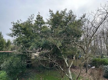 Terrain a batir a vendre Angers 49000 Maine-et-Loire 610 m2  241040 euros