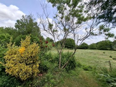 Maison a vendre Saint-Michel-de-la-Roë 53350 Mayenne 120 m2 5 pièces 208000 euros