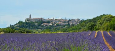 Terrain a batir a vendre La Garde-Adhémar 26700 Drôme 1580 m2  160000 euros