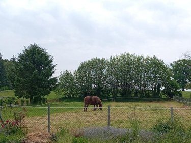 Maison a vendre Les Loges-Marchis 50600 Manche 70 m2 3 pièces 116360 euros