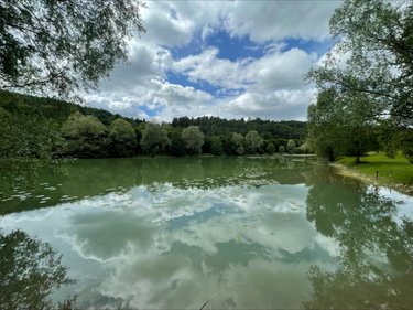 Terrains de loisirs bois etangs a vendre Aromas 39240 Jura 128600 m2  160000 euros