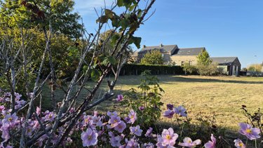 Terrain a batir a vendre Angrie 49440 Maine-et-Loire 600 m2  39000 euros