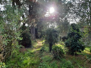 Terrain a batir a vendre Le Fenouiller 85800 Vendée 360 m2  64600 euros