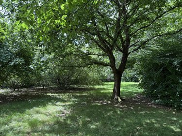 Maison a vendre Saint-Agathon 22200 Côtes-d'Armor 100 m2 5 pièces 228384 euros