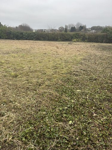 Maison a vendre Yffiniac 22120 Côtes-d'Armor 62 m2 3 pièces 84800 euros