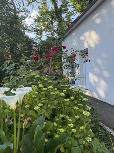 Maison a vendre Plougoumelen 56400 Morbihan 104 m2 5 pièces 375300 euros