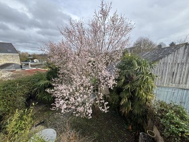 Maison a vendre Gennes 49350 Maine-et-Loire 235 m2 7 pièces 470925 euros