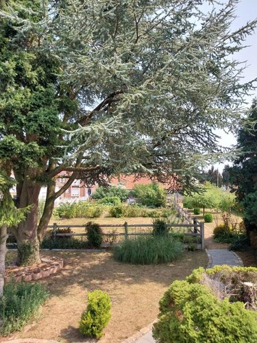 Maison a vendre Aubigny-en-Artois 62690 Pas-de-Calais 110 m2 6 pièces 211000 euros