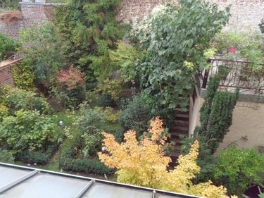 Maison a vendre Arras 62000 Pas-de-Calais 305 m2  904000 euros